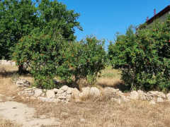 30 sot torpaq satış, Buzovna q., Xəzər r., Bakı ş. / şəkil 4 / 5