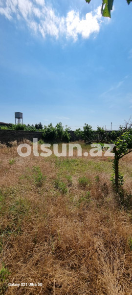 24 sot torpaq satış, Buzovna q., Xəzər r., Bakı ş. / şəkil 1 / 10