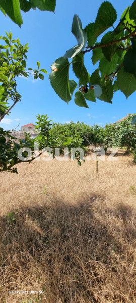24 sot torpaq satış, Buzovna q., Xəzər r., Bakı ş. / şəkil 1 / 14