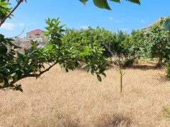24 sot torpaq satış, Buzovna q., Xəzər r., Bakı ş. / şəkil 1 / 14