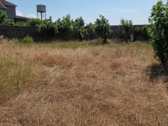 24 sot torpaq satış, Buzovna q., Xəzər r., Bakı ş. / şəkil 2 / 14