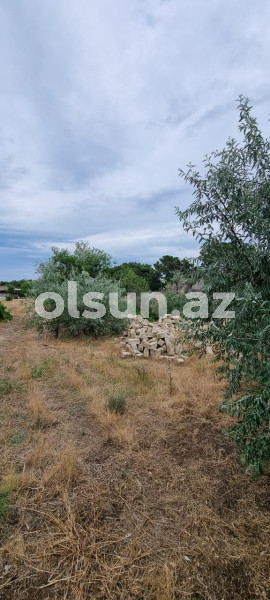 24 sot torpaq satış, Buzovna q., Xəzər r., Bakı ş. / şəkil 1 / 14