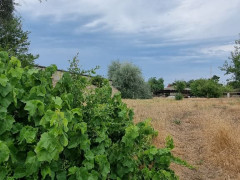 24 sot torpaq satış, Buzovna q., Xəzər r., Bakı ş. / şəkil 3 / 14