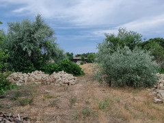 8 sot torpaq satış, Buzovna q., Xəzər r., Bakı ş. / şəkil 2 / 10