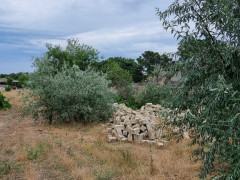 24 sot torpaq satış, Buzovna q., Xəzər r., Bakı ş. / şəkil 1 / 11