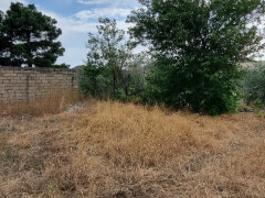 24 sot torpaq satış, Buzovna q., Xəzər r., Bakı ş. / şəkil 4 / 11