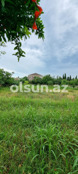 8 sot torpaq satış, Buzovna q., Xəzər r., Bakı ş. / şəkil 1 / 11