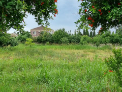 8 sot torpaq satış, Buzovna q., Xəzər r., Bakı ş. / şəkil 2 / 11