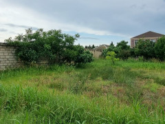 8 sot torpaq satış, Buzovna q., Xəzər r., Bakı ş. / şəkil 4 / 11