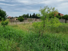 8 sot torpaq satış, Buzovna q., Xəzər r., Bakı ş. / şəkil 5 / 11