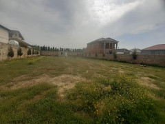 8 sot torpaq satış, Buzovna q., Xəzər r., Bakı ş. / şəkil 3 / 4