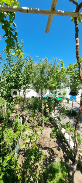 6 otaq 200 m² ev / villa satış, Buzovna q., Xəzər r., Bakı ş. / şəkil 1 / 20