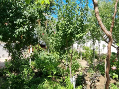 6 otaq 200 m² ev / villa satış, Buzovna q., Xəzər r., Bakı ş. / şəkil 2 / 20