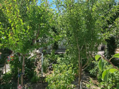 6 otaq 200 m² ev / villa satış, Buzovna q., Xəzər r., Bakı ş. / şəkil 3 / 20