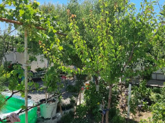 6 otaq 200 m² ev / villa satış, Buzovna q., Xəzər r., Bakı ş. / şəkil 5 / 20