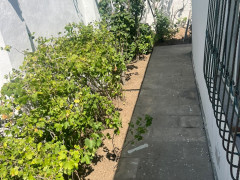 3 otaq 70 m² ev / villa satış, Şimal DRES q., Xəzər r., Bakı ş. / şəkil 4 / 15