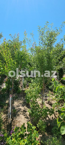 6 otaq 200 m² ev / villa satış, Buzovna q., Xəzər r., Bakı ş. / şəkil 1 / 14