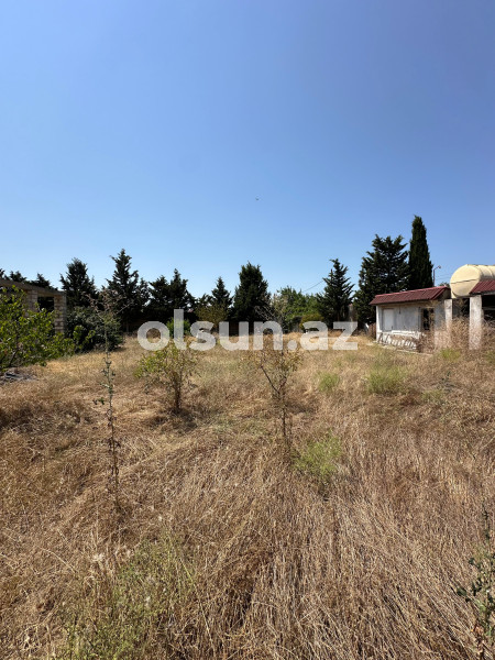 12 sot torpaq satış, Buzovna q., Xəzər r., Bakı ş. / şəkil 1 / 4