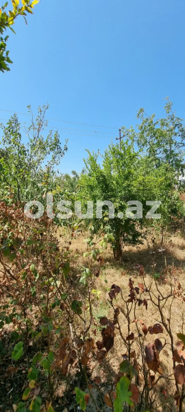 3 otaq 100 m² ev / villa satış, Buzovna q., Xəzər r., Bakı ş. / şəkil 1 / 11