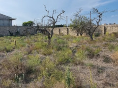 10 sot torpaq satış, Buzovna q., Xəzər r., Bakı ş. / şəkil 3 / 8