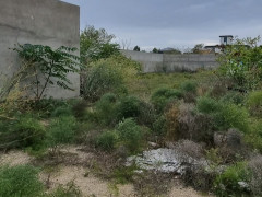 24 sot torpaq satış, Buzovna q., Xəzər r., Bakı ş. / şəkil 4 / 8