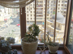 3 otaq 93 m² yeni tikili satış, Xırdalan ş. / şəkil 4 / 14