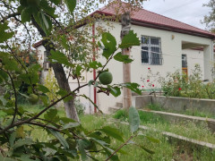 15 sot torpaq satış, Mərdəkan q., Xəzər r., Bakı ş. / şəkil 5 / 12
