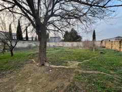 3 otaq 80 m² ev / villa satış, Buzovna q., Xəzər r., Bakı ş. / şəkil 4 / 15