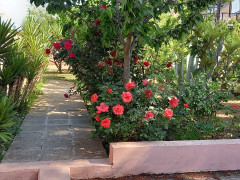 5 otaq 200 m² ev / villa satış, Mərdəkan q., Xəzər r., Bakı ş. / şəkil 2 / 20