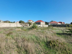 12 sot torpaq satış, Buzovna q., Xəzər r., Bakı ş. / şəkil 5 / 9
