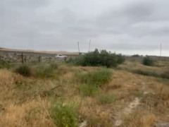 25 sot torpaq satış, Bilgəh q., Sabunçu r., Bakı ş. / şəkil 1 / 6