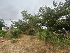 25 sot torpaq satış, Bilgəh q., Sabunçu r., Bakı ş. / şəkil 2 / 6