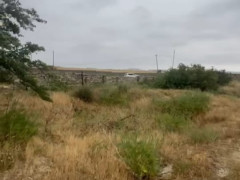 25 sot torpaq satış, Bilgəh q., Sabunçu r., Bakı ş. / şəkil 5 / 6
