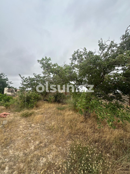 25 sot torpaq satış, Bilgəh q., Sabunçu r., Bakı ş. / şəkil 1 / 9