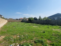 10 sot torpaq satış, Buzovna q., Xəzər r., Bakı ş. / şəkil 4 / 7